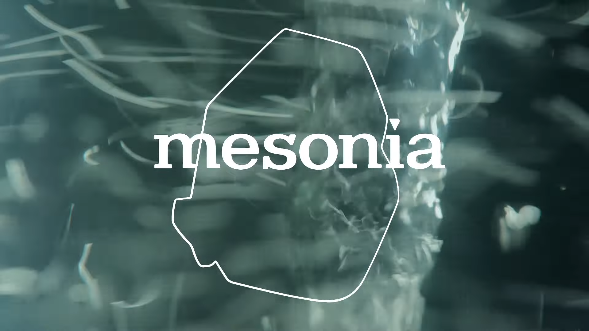 Mesonia: Перфекціоністи в косметиці. Зроблено в Україні